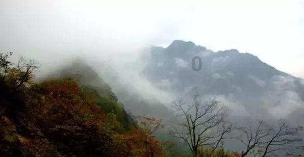 混乱特工