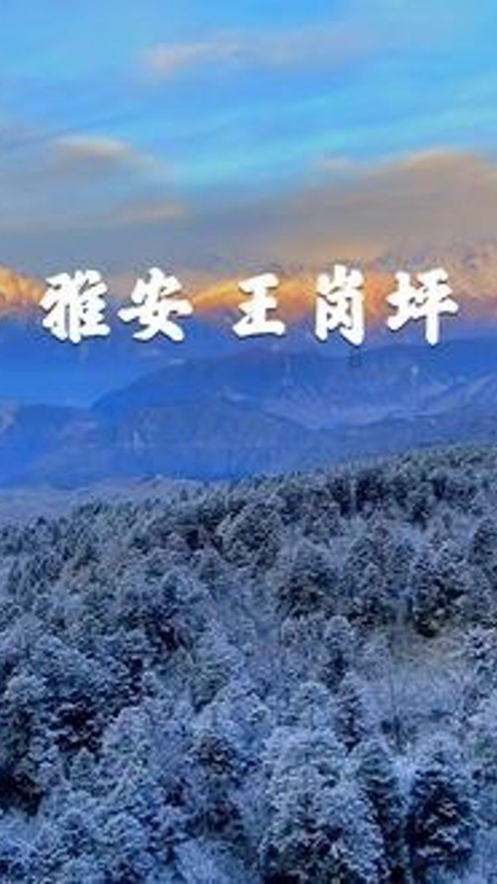 逃离冰淇淋屋