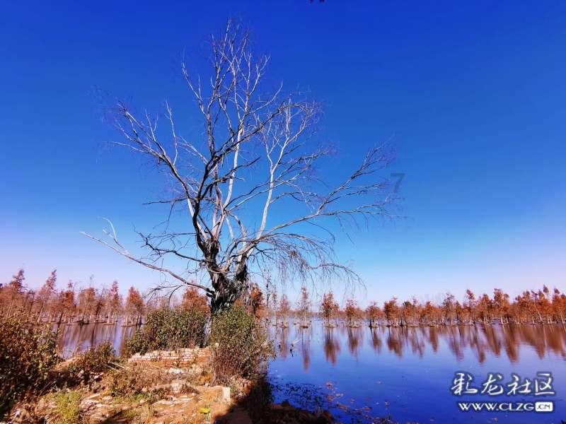 突传噩耗!36岁网红澳门酒窝夫妇秦思跳楼身亡,长期遭受网络暴力