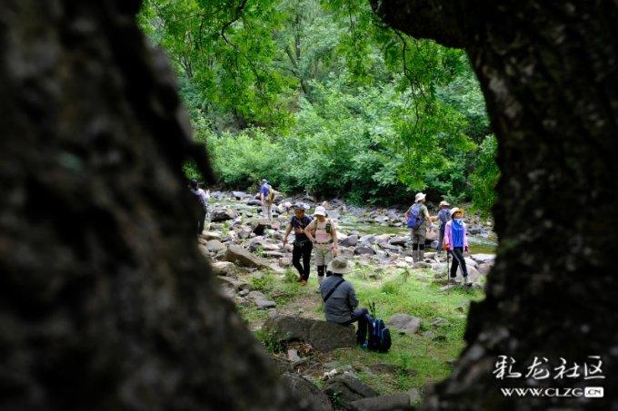 中金:维持中国海外发展“跑赢行业”评级 目标价下调至19.12港元