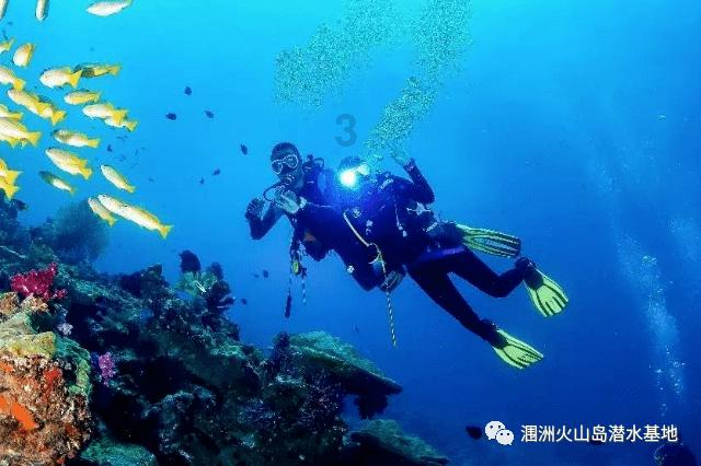 报告称去年全球清洁能源支出达1.8万亿美元
