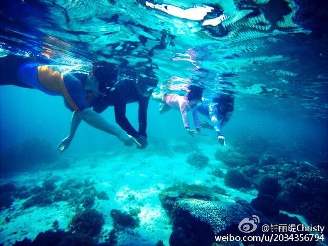 渡仙引