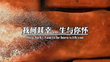 河北区新增一条“可变车道”!