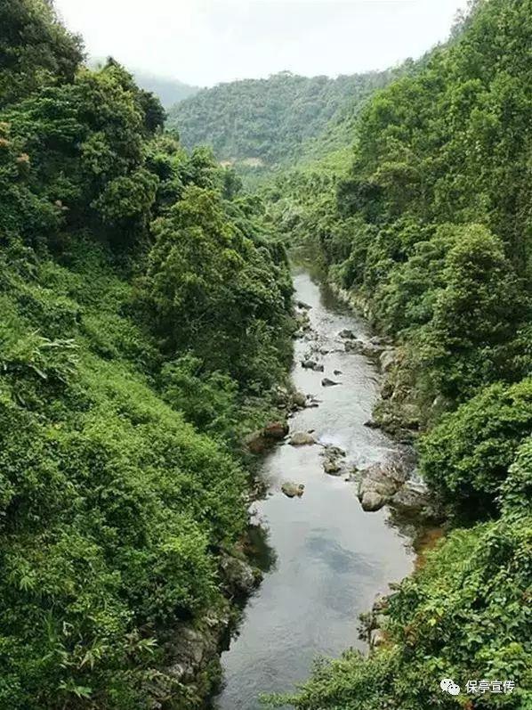 除了爱情和建筑,林徽因身上可贵的,是她和孩子的相处方式